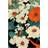 Pelcasa Asian Flowers Plakat 70x100cm