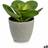 Ibergarden Dekorativ 18 Kunstig plante