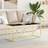 vidaXL Stainless Steel and Glass Coffee Table 45cm