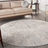 Nourison Area Rug Grey Round 7'10' Beige, Grey