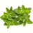 Click and Grow Smart Garden Refill 3-pack Mejram