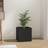 vidaXL Planter Box Black Engineered Wood