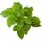 Click and Grow Smart Garden Refill 3 Planter: basilikum Minidrivhus