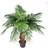 Leaf 100cm Brown Trunk Artificial Princess Palm Tree Figurine