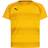 Puma Jr Teamvision Jersey - Cyber Yellow/Spectra/Black (704928-07)