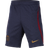 Nike Paris Saint-Germain Strike Dri-FIT Knit Football Shorts