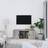 vidaXL 100x35x40 TV-bord