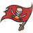 Fan Creations Tampa Bay Buccaneers Distressed Logo Cutout Sign