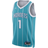 NIKE Men's Charlotte Hornets Icon Edition 2022/23 Jordan Dri-Fit NBA Swingman Jersey