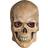 Rubies Crypt Skull Mask
