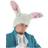 Fun White Rabbit Ears Hat