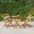 vidaXL 3 Piece Folding Solid Wood Acacia Bistro Set, 1 Table incl. 2 Chairs