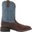 Ariat Sport Cow Country M - Fencepost Brown/Clear Blue