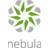 Zyxel Nebula Professional Pack