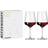 Ritzenhoff Lichtweiss 54cl, 2-pack Vitvinsglas, Rödvinsglas 6st