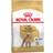 Royal Canin Poodle Adult 7.5kg