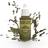 The Army Painter Warpaints Commando Green 18ml