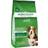 Arden Grange Adult Rich in Fresh Lamb and Rice 2kg