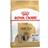 Royal Canin Shih Tzu Adult 1.5kg