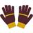 Harry Potter Adult Entry Gloves Gryffindor