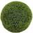 Litton Lane Boxwood Topiary Artificial Foliage Ball Decorative Item