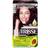 Garnier Nutrisse Cream #3.6 Red Dark Brown