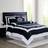 London Fog Raynes Bedspread White, Black (264.2x228.6cm)