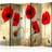 Artgeist Skærmvæg Golden Field of Poppies II Rumdeler