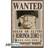 ABYstyle One Piece Zorro Wanted 91,5x61 Poster