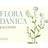 Gyldendal 2024 Kalender Flora Danica