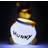 Paladone Disney Winnie The Pooh Lampa Nattlampa