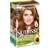 Garnier Nutrisse Ultra Créme 6.41 Dark Copper Blonde