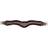 Shires Arma Supafleece Anatomical Girth With Elastic - Brown