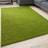 THE RUGS 120X170 cm Myshaggy Collection Green