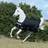 Bucas Anniversary Turnout Rug - Black/Silver