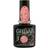 Sugar Plum Gelluv Professional Nail Polish Base All that Glitters Winter