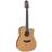 Takamine GD20-NS