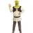 Disguise Shrek Costume for Men