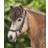 Waldhausen Anatomical Icelandic Bridle - Black