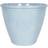 Southern Patio Plant Avenue Eden Emblem Plant Pot