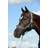 Bucas Dublin Grimma Navy/silver X-Full