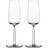 Iittala Senta Champagne Glass 21cl 2pcs