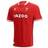 Macron Men's Wales Home Replica Rugby Shirt 2022/23