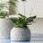 Nordal Aoba Krukke S Cement Naturhvid Krukke
