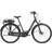 Trek District+ 1 Lowstep Lithium XL 500Wh.