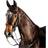 Collegiate ComFiTec Weymouth Bridle Warmblood