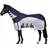 LIPPO Combi Horse Rug Rain And Fly Rug With Neck
