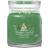 Yankee Candle Shimmering Christmas Tree Signature Medium Scented Candle