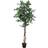 Europalms Silver ficus benjamini Kunstig plante