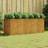 vidaXL Garden Raised Bed 200 x 80 x 80 cm Corten Steel